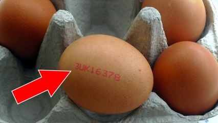 Quelle est la véritable signification des codes inscrits sur la coque des oeufs ?