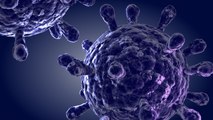 VIH : Les scientifiques découvrent enfin sa véritable origine
