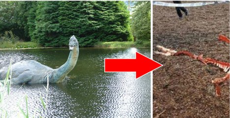 Le monstre du Loch Ness a t-il été retrouvé mort ?