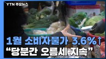 1월 소비자물가 3.6%↑...4개월 연속 3%대 상승률 / YTN