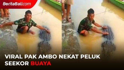 Viral Pak Ambo Nekat Peluk Seekor Buaya