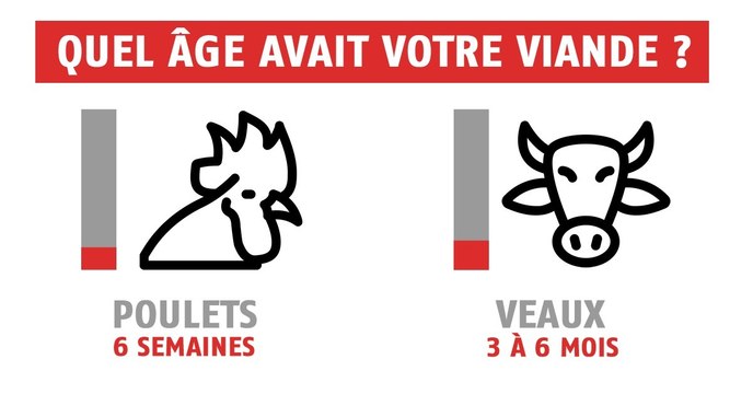 Poulet, boeuf, agneau... Quel âge avait votre viande ?