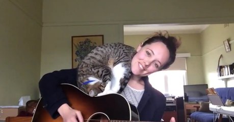 Quand elle se met à chanter, son chat a une réaction complètement dingue !