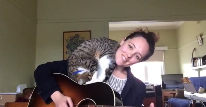 Quand elle se met à chanter, son chat a une réaction complètement dingue !