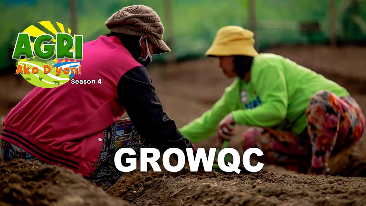 Grow QC