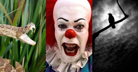 Vos phobies révèlent certains traits de votre personnalité