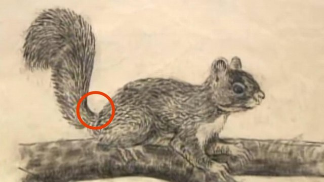 Cet homme réalise des œuvres d'art incroyables grâce à une machine à écrire