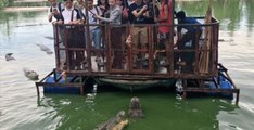 Une photo compromettante a obligé cette ferme au crocodile thaïlandaise à fermer