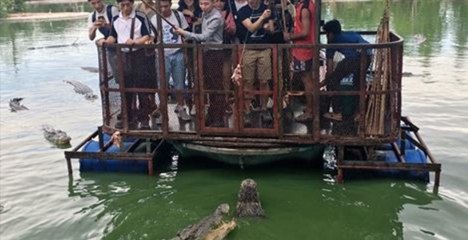 Une photo compromettante a obligé cette ferme au crocodile thaïlandaise à fermer