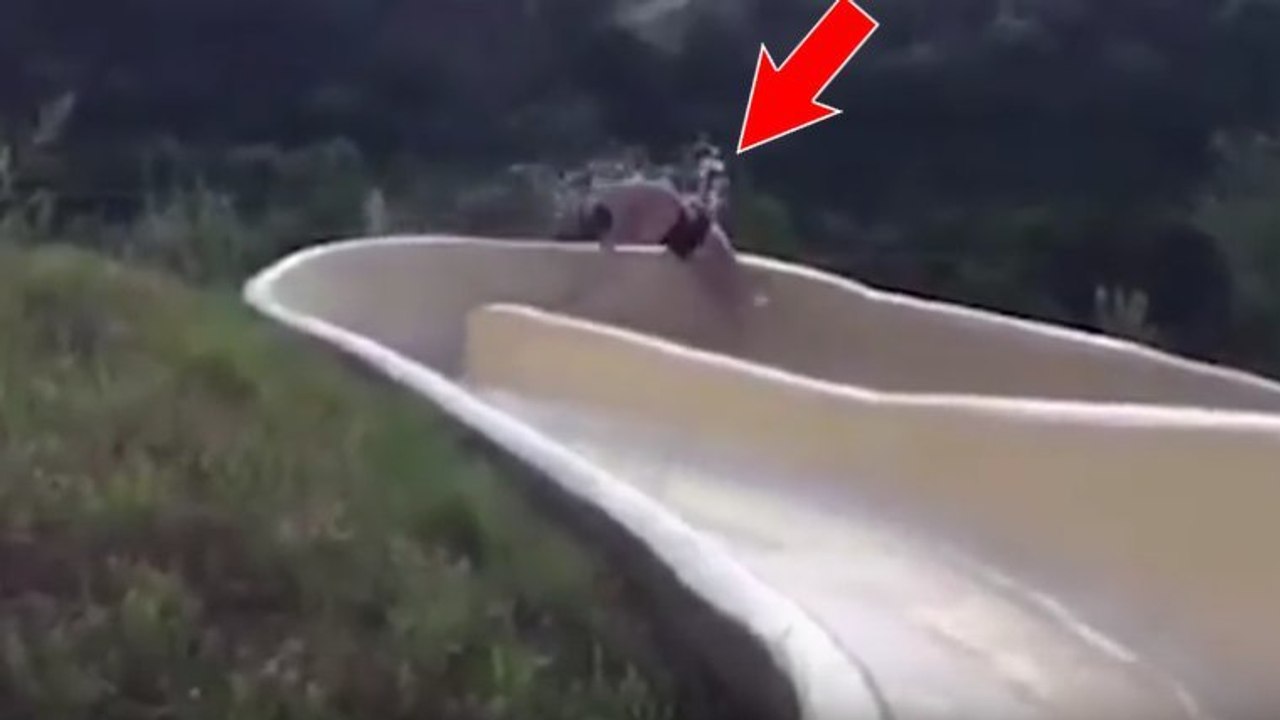 David Salmon: cet homme fait une chute impressionnante en glissant d'un toboggan aquatique