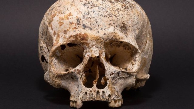 Le visage d'Ava, une femme de l'âge de Bronze, a été reconstitué par des scientifiques