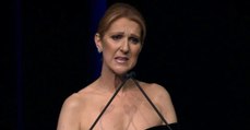 Céline Dion : 6 mois après la mort de René, la star fait une étonnante révélation sur sa carrière