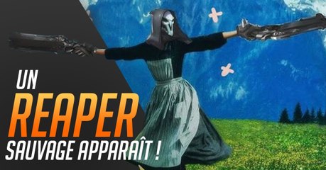 Overwatch : apprenez à "flank" correctement avec votre Reaper