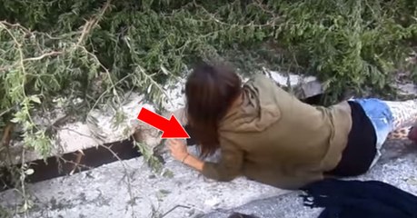 Une chatte assise près d'un égoût refuse de bouger. La raison va vous briser le coeur...