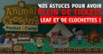Animal Crossing Pocket Camp : clochettes et Tickets Verts faciles, nos astuces et guide pour bien débuter
