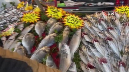 Deniz soğudu, balık bollaştı