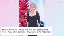 Cancer de Florent Pagny : Clémentine Célarié lui adresse un beau message de soutien