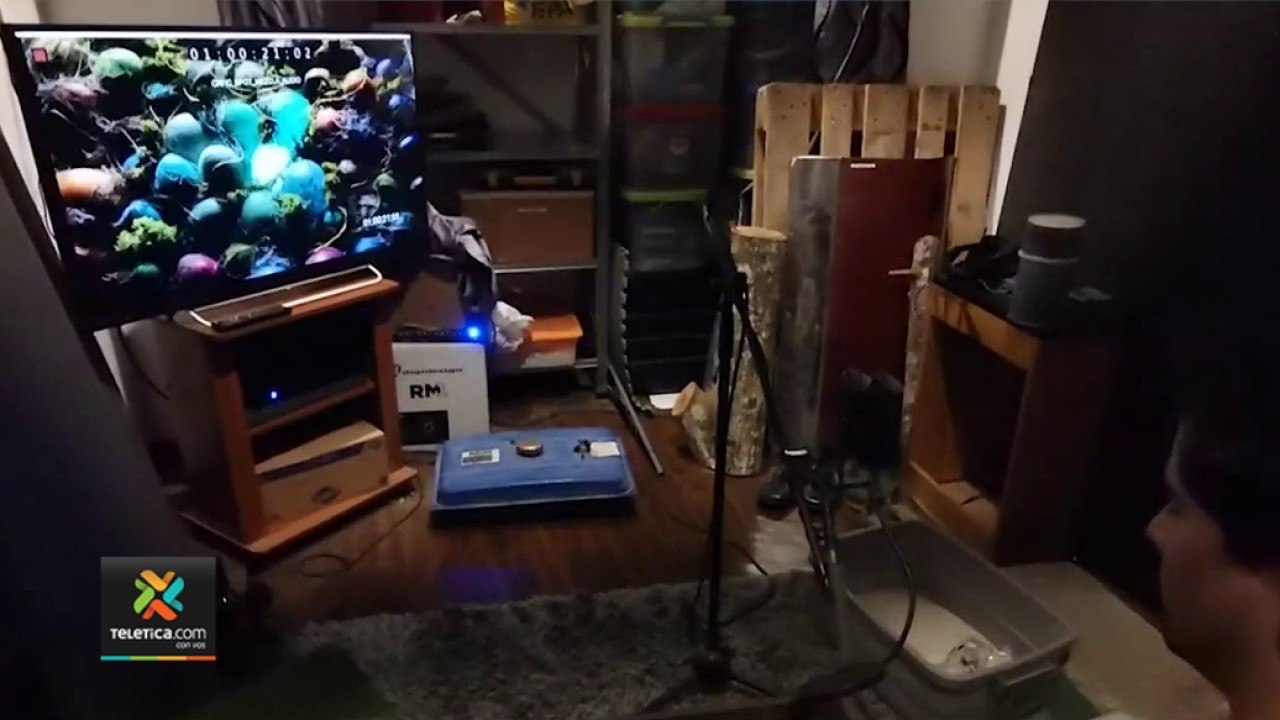 tn7-ticos-incursionan-en-mundo-de-los-videojuegos-y-produccion-de-sonido-310122