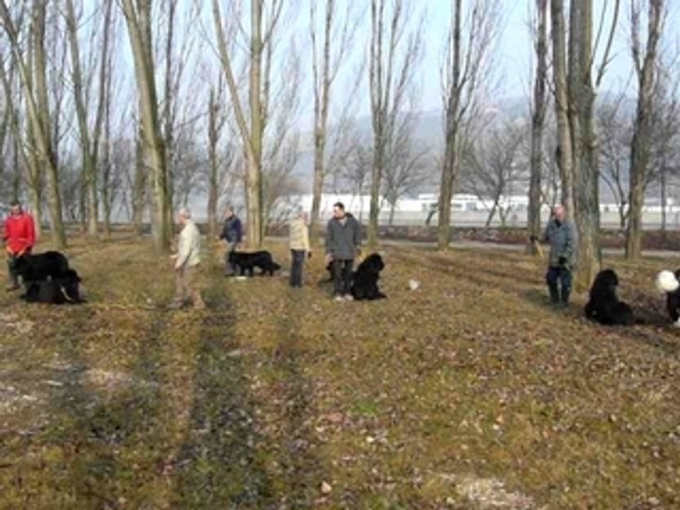 Entrainement 17-02-080116