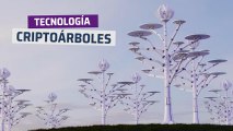 [CH] Criptoárboles solares, la solución limpia para las criptomonedas