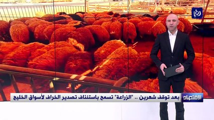 بعد توقف شهرين .. "الزراعة" تسمح باستئناف تصدير الخراف لأسواق الخليج