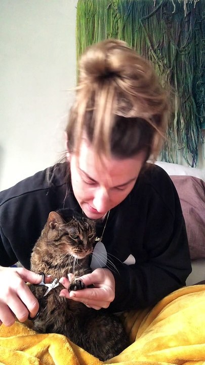 Dramatic Cat Protests Nail Clipping