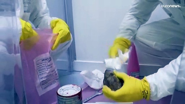 Warum Atomkraft für Frankreichs junge Menschen wieder attraktiv ist
