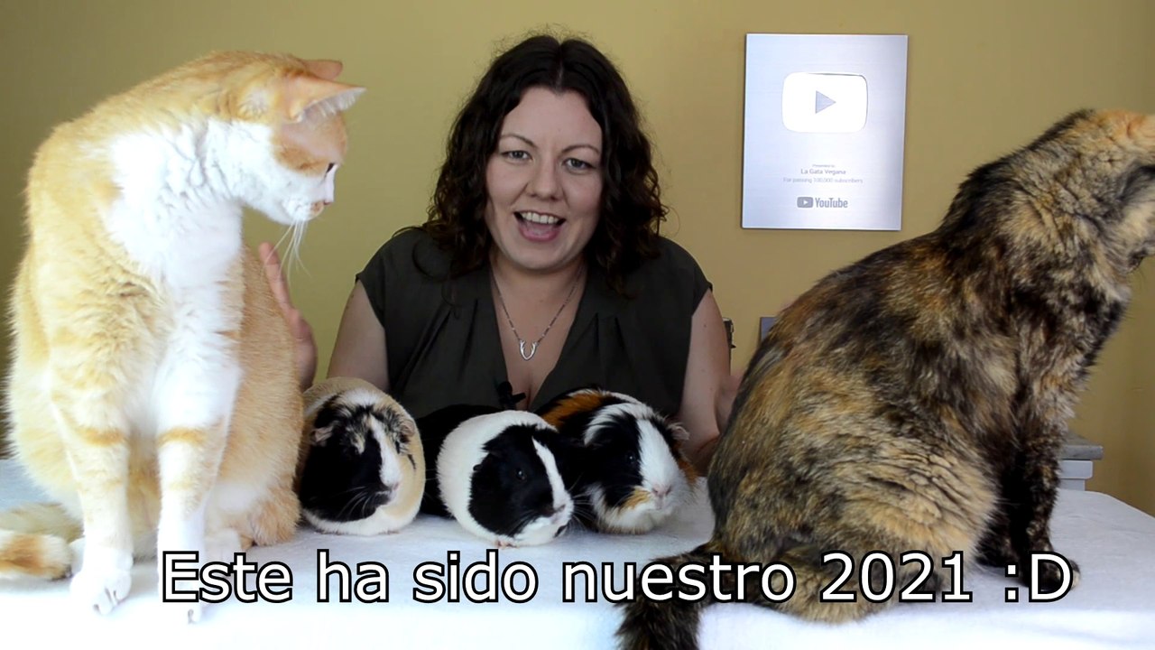 RESUMEN DEL CANAL EN 2021 EN 3 MINUTOS | REWIND 2021| MEJORES MOMENTOS DEL AÑO | LA GATA VEGANA