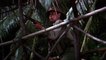 Rambo: First Blood Part II - Trailer