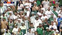 São Bernardo x Palmeiras (Campeonato Paulista 2022 2ª rodada) 2° tempo