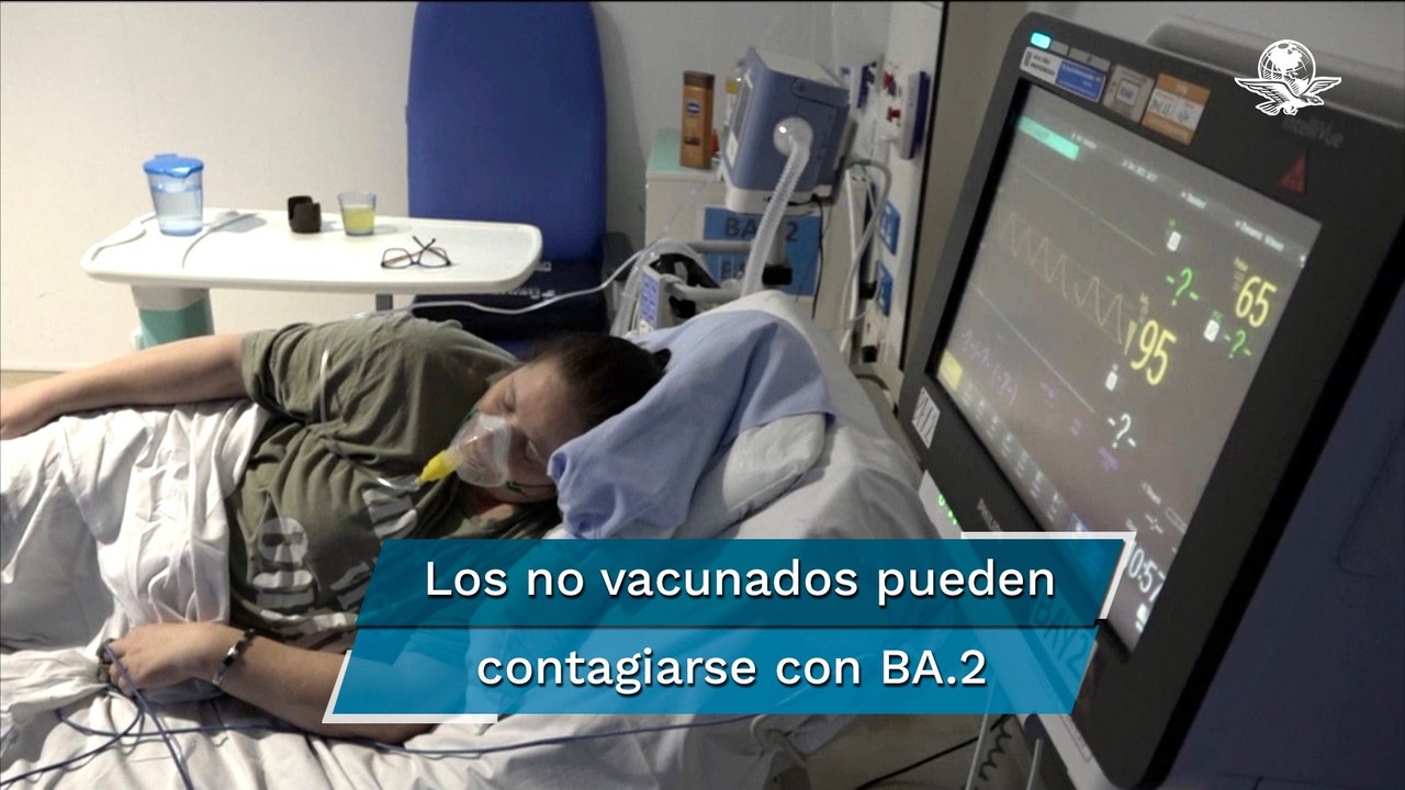 Estudio revela que subvariante BA.2 de ómicron es más contagiosa que la original
