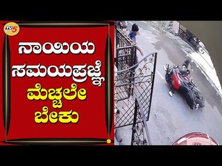 Dog ಸಮಯಪ್ರಜ್ಞೆಯಿಂದ ಮತ್ತೊಂದು ನಾಯಿ ಸೇಫ್​ | Bengaluru | TV5 Kannada