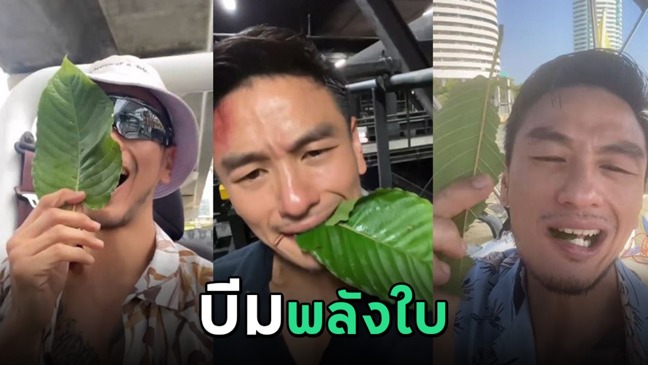 บีม ศรัณยู เมาใบกระท่อม เคี้ยวไป-ไลฟ์ไป-ขับเรือ-ขับรถ ก่อนปีนเกาะกลาง