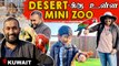 Desert-க்கு உள்ள Mini Zoo-ஆ ?? | Kuwait Blue Lake Farm | Family wings