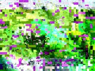 Nutritional Supplements - Agel - Part One ...