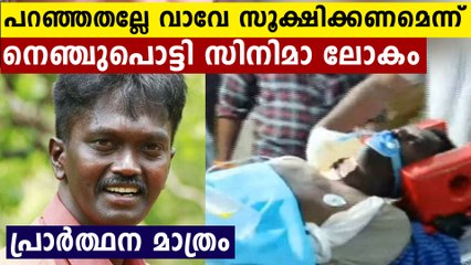 വാവ സുരേഷിന് നെഞ്ചുപൊട്ടി പ്രാർത്ഥിച്ച്‌ സിനിമാ ലോകം.. | Oneindia Malayalam