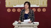 HDP'li Meral Danış Beştaş Meclis'te Kürtçe şarkı söyledi: Emniyet açıklama yaptı