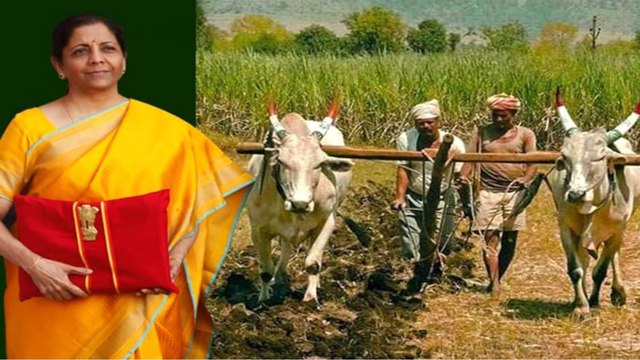 'Kisan Drones' to be promoted for crop assessment: Budget