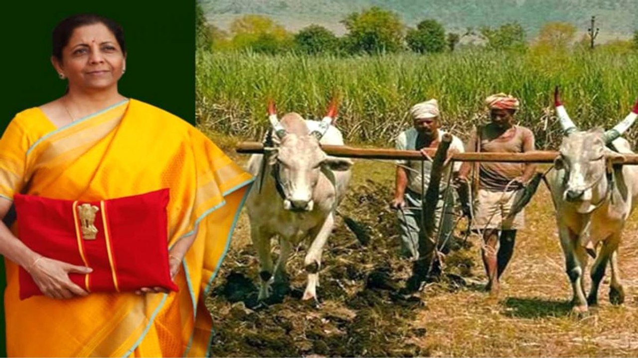 'Kisan Drones' to be promoted for crop assessment: Budget