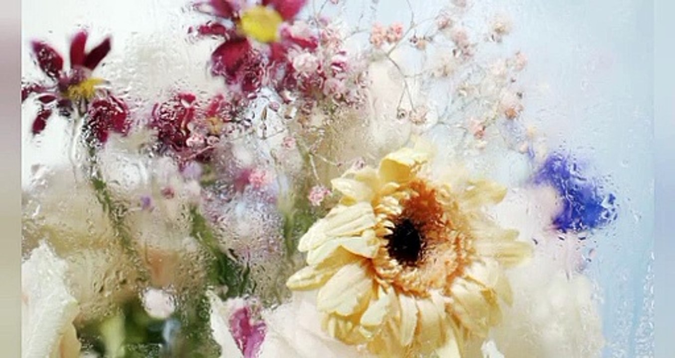 Finality of Prophethood in the eyes of elders of the Ummah