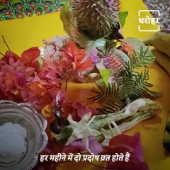 Know All About Magh Month's Pradosh Vrat