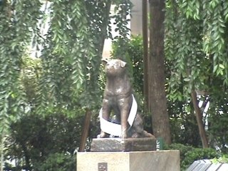 Hachiko de Shibuya sous la pluie