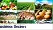 Agribusiness | Agribusiness Sectors | زرعی کاروبار | زرعی کاروبار کے شعبے