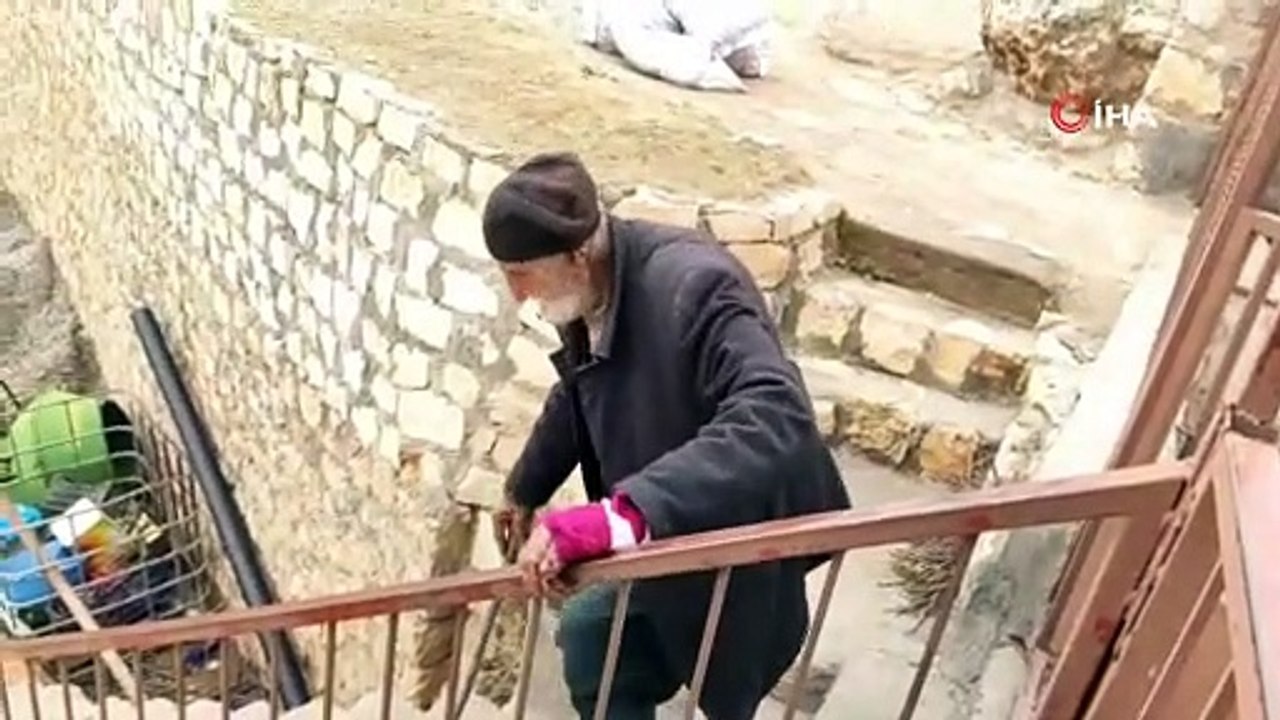 Mardin'de kimliksiz, yaşlı, kimsesiz adam 'sokak köpeği' saldırısına uğradı