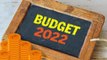 Union Budget 2022: What gets cheaper and what's costlier