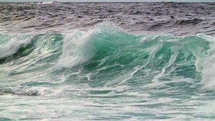 The sound of the seashore for relaxation, yoga, sleep