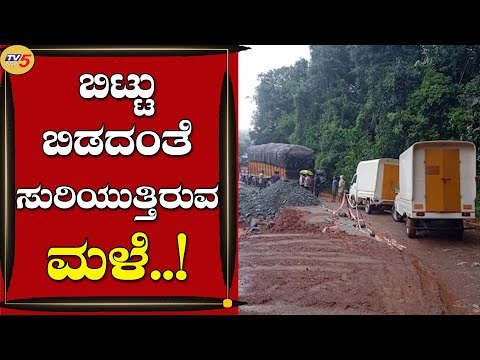 ಮಲೆನಾಡು ಭಾಗದಲ್ಲಿ ಸುರಿಯುತ್ತಿದೆ ಧಾರಾಕಾರ ಮಳೆ | Shivamogga | Karnataka | Tv5 Kannada