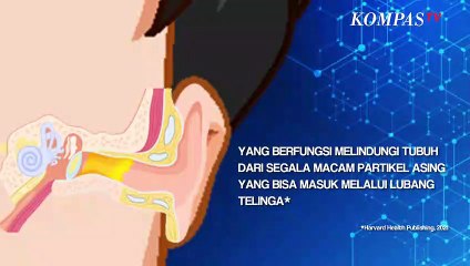 Jangan Lagi Bersihkan Telinga Pakai Cotton Bud, Ini Alasannya