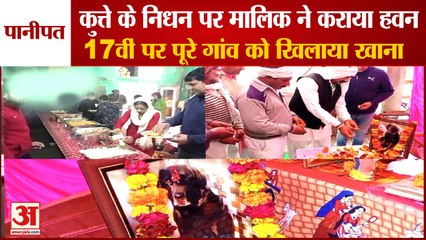 Panipat Worshiped On The Death Of A Pet Dog|कुत्ते निधन पर मालिक ने कराया हवन, गांव को भोजन