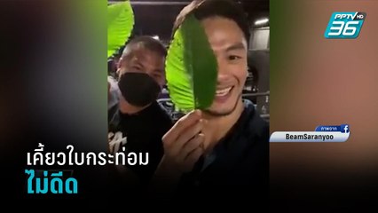 แพทย์แผนไทย ยืนยัน เคี้ยวใบกระท่อมไม่ดีด - เข้มข่าวค่ำ